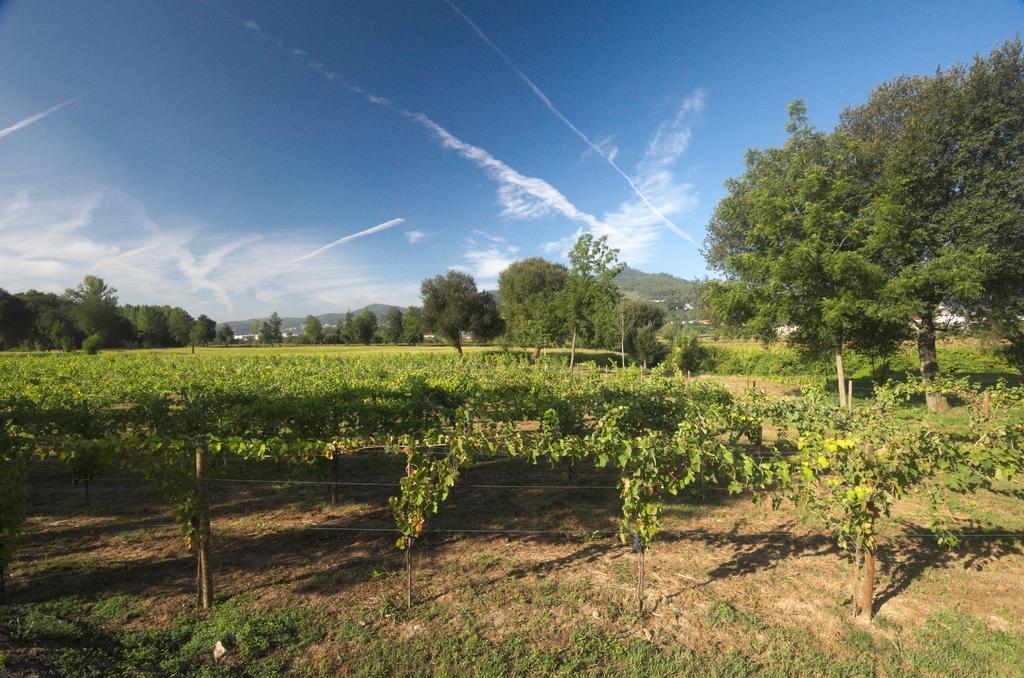 1720 Quinta Da Cancela - Winery & Farmhouse Guimaraes Exterior photo
